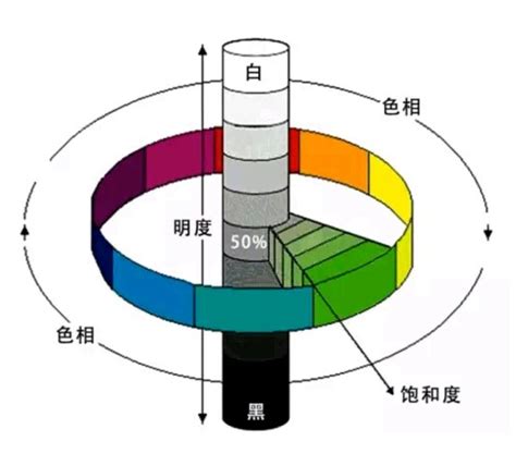 顏色順序|色彩學沒教但很重要的幾件事與免費工具